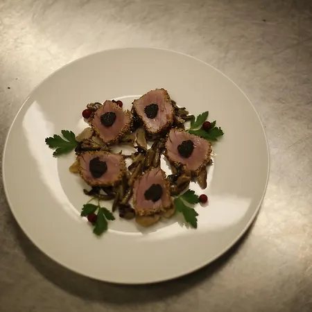 卡斯特罗蒂塞普特酒店 酒店 4*